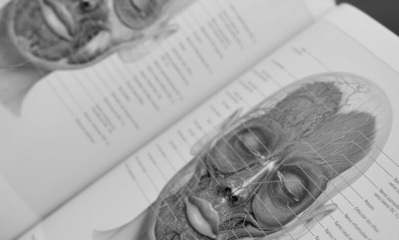 Segurança e Complicações na Harmonização Facial: Guia Completo